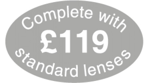 SL119 - Complete with standard lenses £119, white on grey.